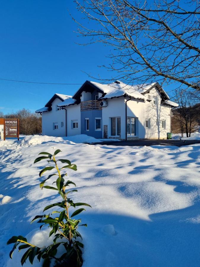 House Forest Queen Smoljanac Bagian luar foto